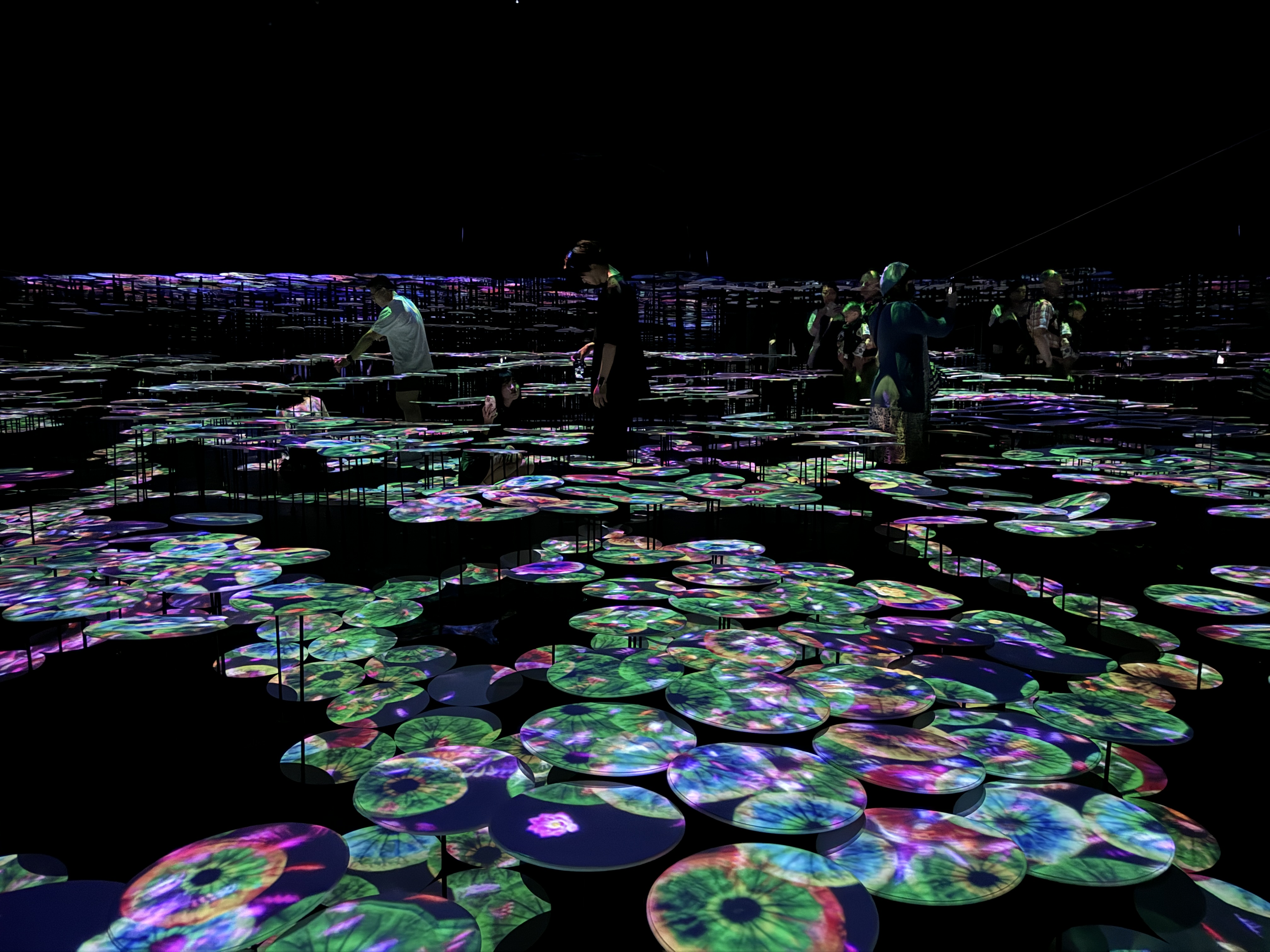 teamlab_borderless_無界_荷葉田